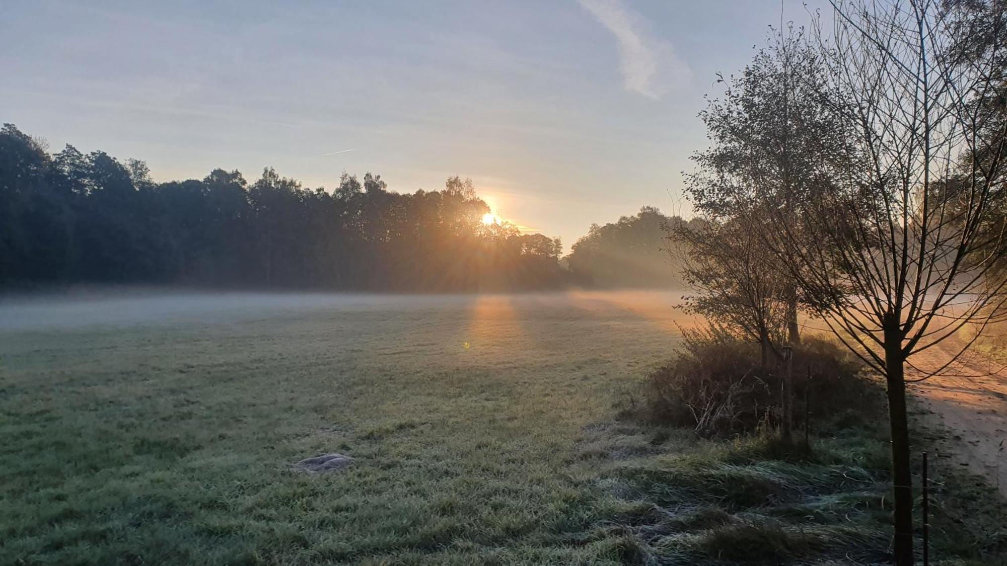 Am Gruenen Meer Myšyn Exterior foto